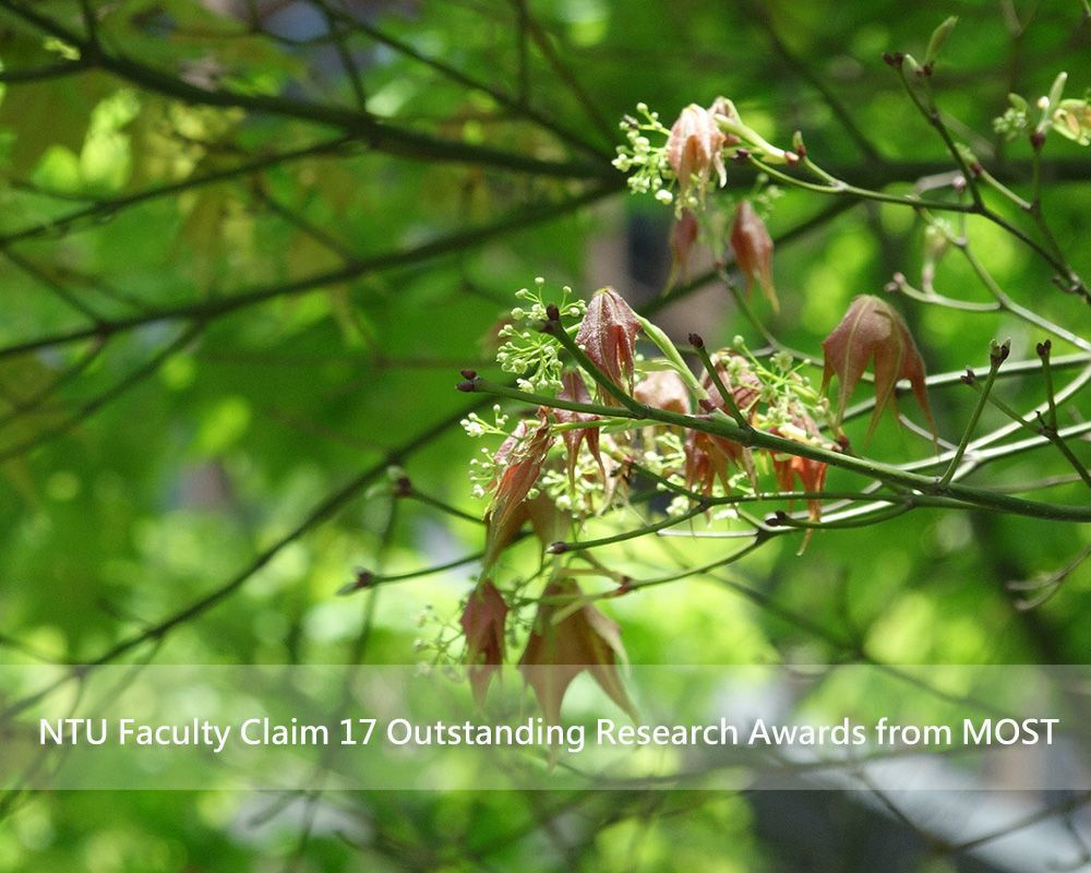 NTU Faculty Claim 17 Outstanding Research Awards from MOST-封面圖