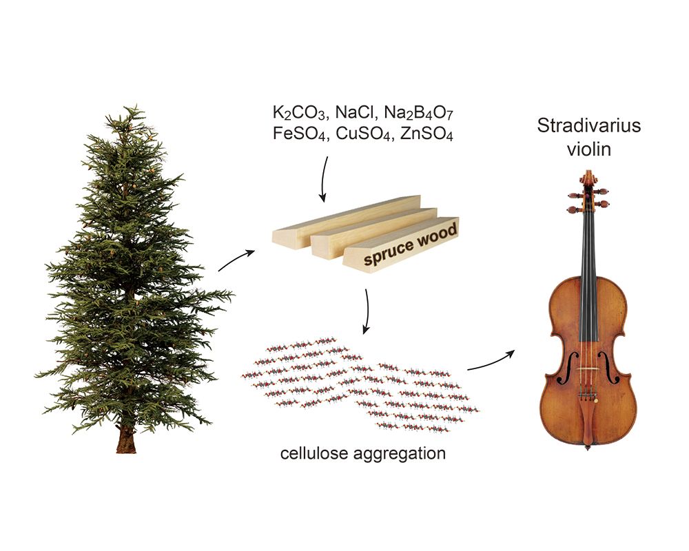 Chemical Detectives Unlock the Secrets of Famous Italian Violins-封面圖