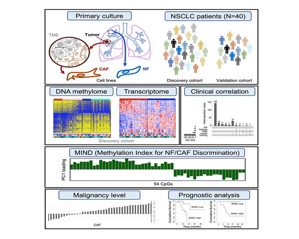 Does Smoking Affect the Malignancy Level of Tumor Microenvironment-封面圖