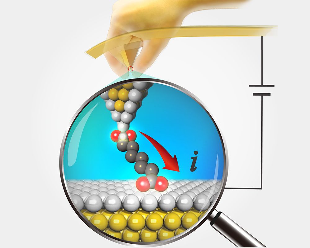 微觀世界的單分子電子學發(fā)展大邁進—嶄新電極架構獲登國際頂尖期刊《Nature Materials》-封面圖