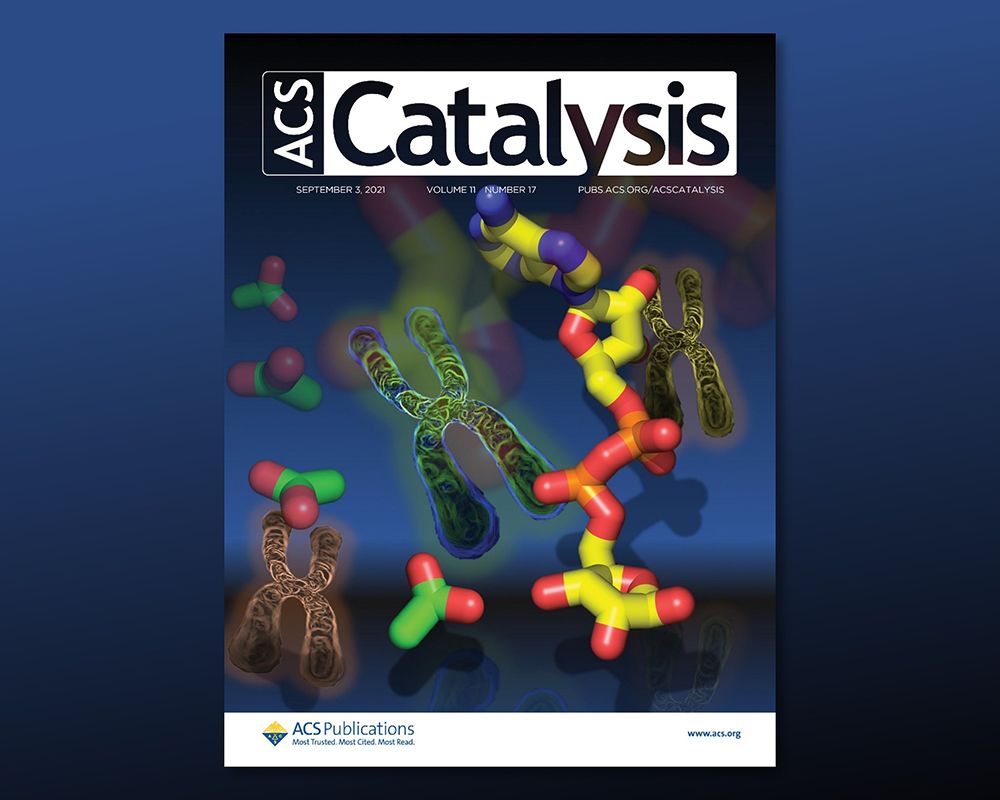 徐駿森教授研究團隊發(fā)現生化降解途徑的「殊途同歸」 榮登頂尖期刊ACS Catalysis封面-封面圖