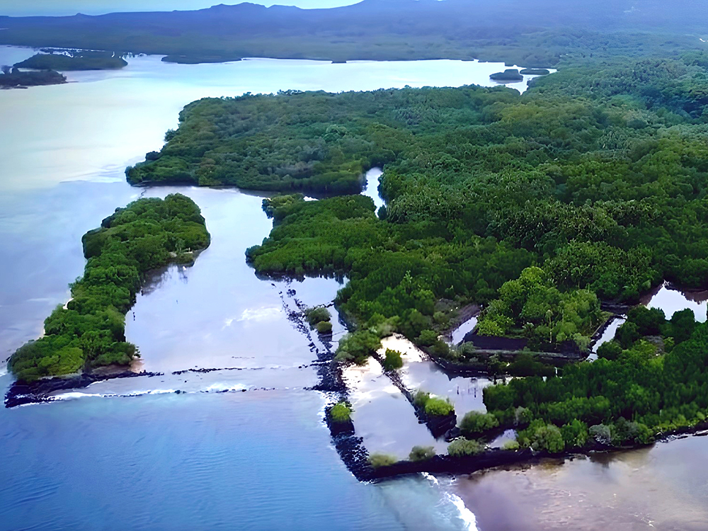 海島如何應(yīng)對(duì)未來？ 臺(tái)大地質(zhì)系教授沈川洲國(guó)際團(tuán)隊(duì)解密太平洋威尼斯-封面圖